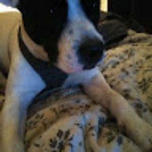 Meet your Posher, Gerald